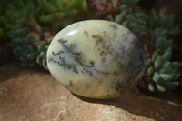 Polished Dendritic Opal Palm Stones x 12 From Moralambo, Madagascar - Toprock Gemstones and Minerals 