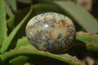 Polished Dendritic Opal Palm Stones x 12 From Moralambo, Madagascar - Toprock Gemstones and Minerals 