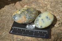 Polished Dendritic Opal Palm Stones x 12 From Moralambo, Madagascar - Toprock Gemstones and Minerals 