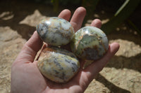 Polished Dendritic Opal Palm Stones x 12 From Moralambo, Madagascar - Toprock Gemstones and Minerals 