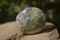 Polished Dendritic Opal Palm Stones x 12 From Moralambo, Madagascar - Toprock Gemstones and Minerals 