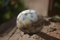 Polished Dendritic Opal Palm Stones x 12 From Moralambo, Madagascar - Toprock Gemstones and Minerals 