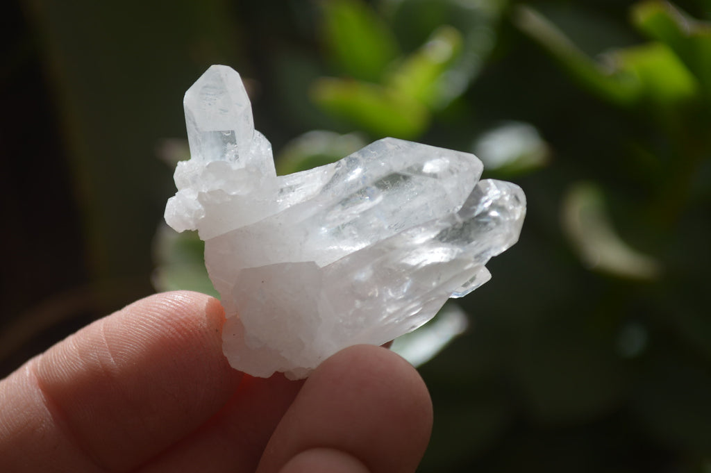 Natural Clear Quartz Crystals x 70 From Mpika, Zambia - Toprock Gemstones and Minerals 
