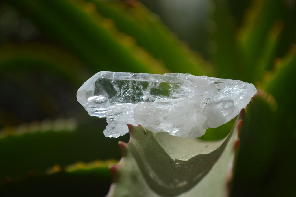 Natural Clear Quartz Crystals x 70 From Mpika, Zambia - Toprock Gemstones and Minerals 