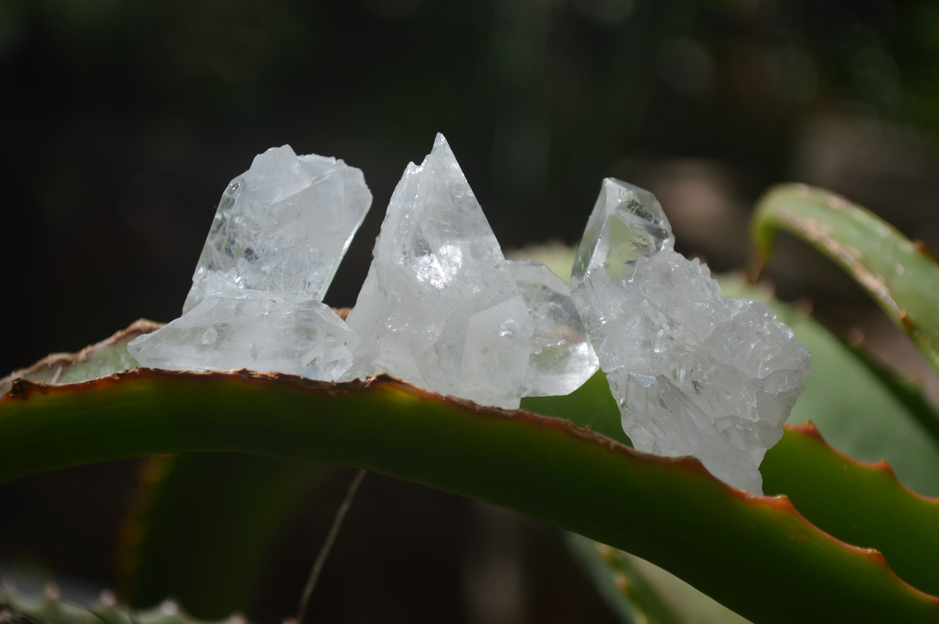 Natural Clear Quartz Crystals x 70 From Mpika, Zambia - Toprock Gemstones and Minerals 