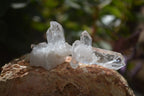 Natural Clear Quartz Crystals x 70 From Mpika, Zambia - Toprock Gemstones and Minerals 