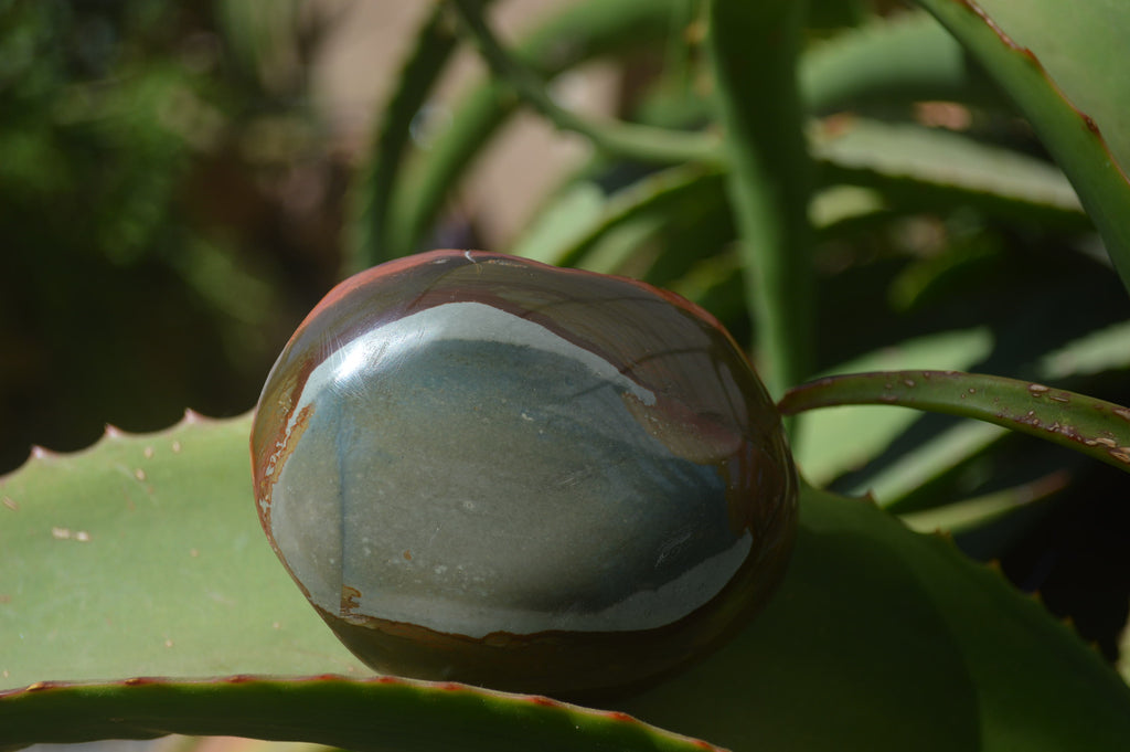 Polished On One Side Polychrome Jasper Nodules x 6 From Mahajanga, Madagascar - Toprock Gemstones and Minerals 