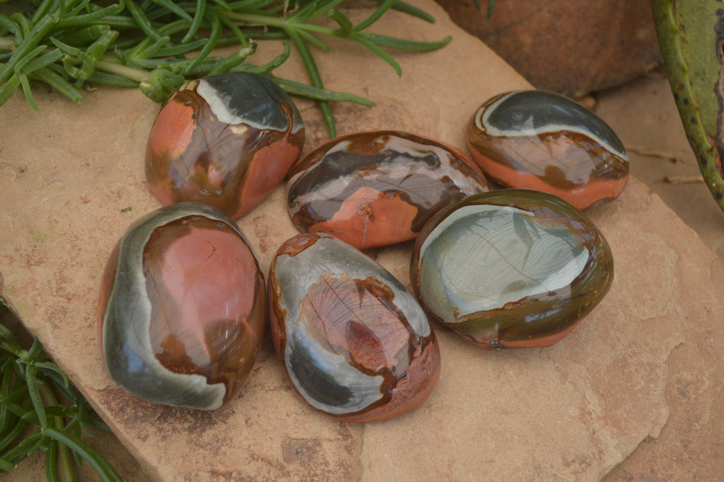 Polished On One Side Polychrome Jasper Nodules x 6 From Mahajanga, Madagascar - Toprock Gemstones and Minerals 