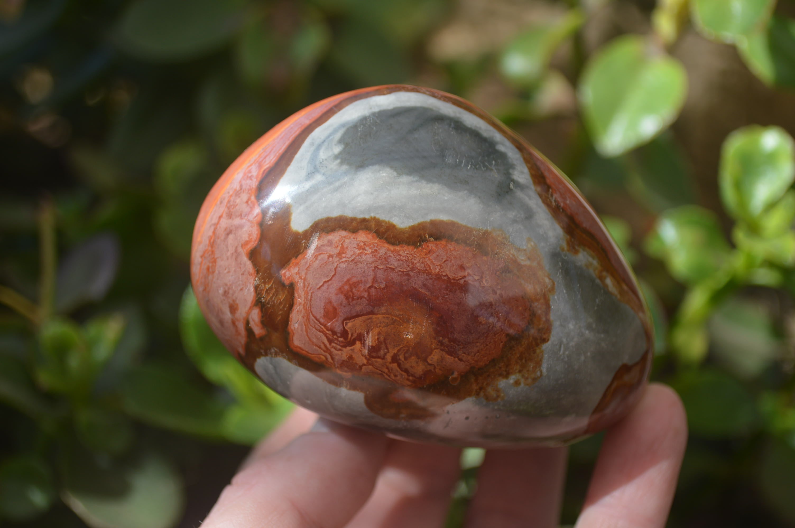 Polished On One Side Polychrome Jasper Nodules x 6 From Mahajanga, Madagascar - Toprock Gemstones and Minerals 