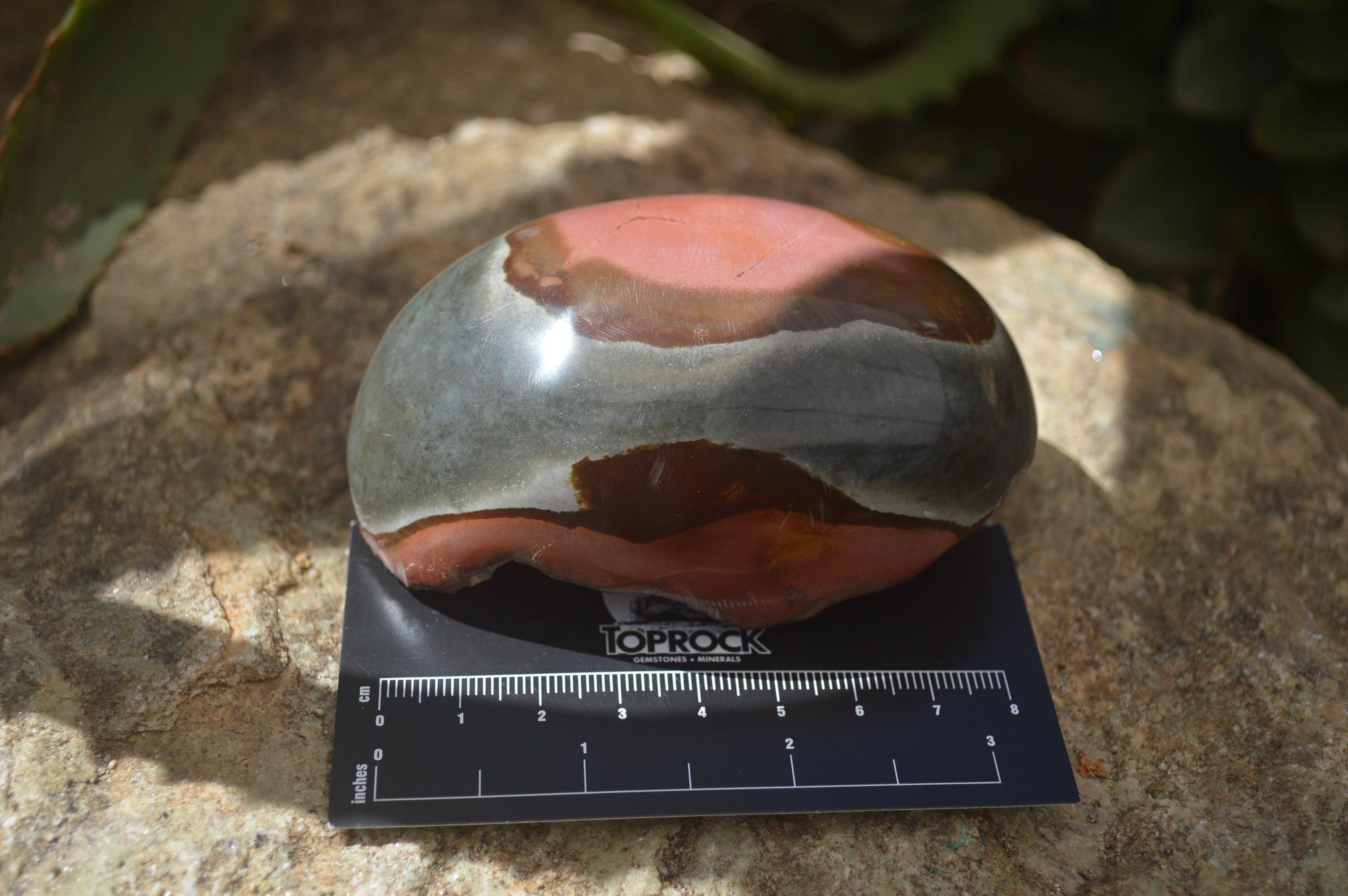 Polished On One Side Polychrome Jasper Nodules x 6 From Mahajanga, Madagascar - Toprock Gemstones and Minerals 
