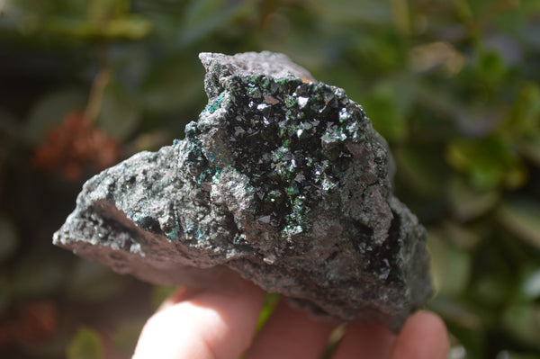 Natural Libethenite Crystals On Dolomite Matrix Specimens x 2 From Shituru, Congo