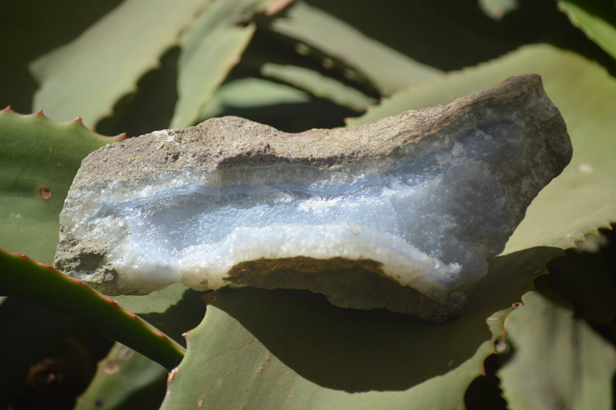 Natural Blue Lace Agate Geode Specimens x 6 From Nsanje, Malawi - Toprock Gemstones and Minerals 