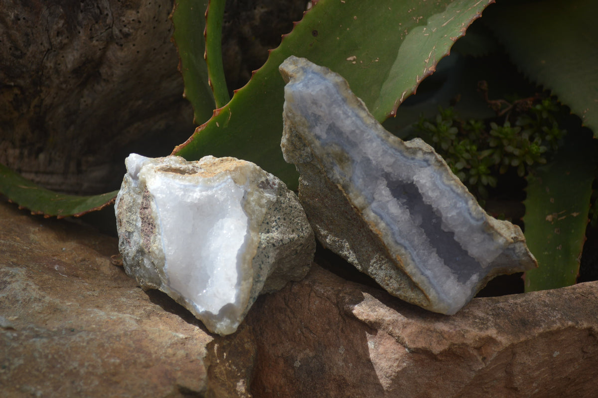 Natural Blue Lace Agate Geode Specimens x 6 From Nsanje, Malawi - Toprock Gemstones and Minerals 