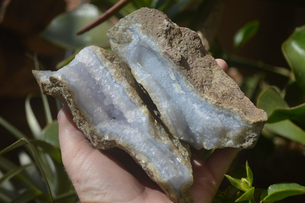 Natural Blue Lace Agate Geode Specimens x 6 From Nsanje, Malawi - Toprock Gemstones and Minerals 