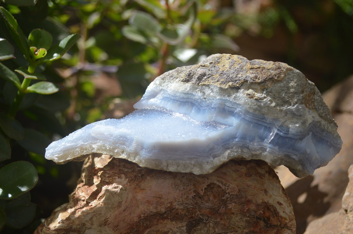 Natural Blue Lace Agate Geode Specimens x 6 From Nsanje, Malawi - Toprock Gemstones and Minerals 