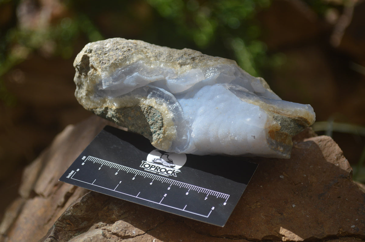 Natural Blue Lace Agate Geode Specimens x 6 From Nsanje, Malawi - Toprock Gemstones and Minerals 