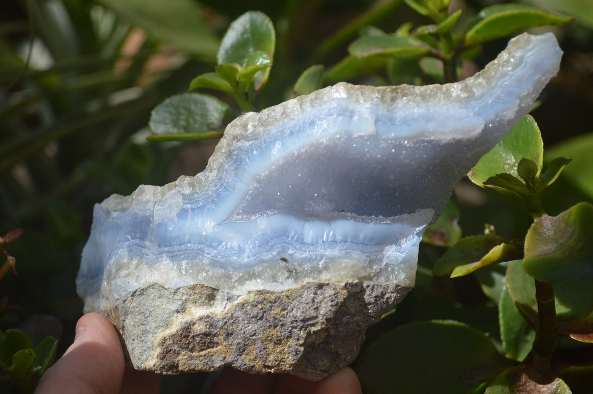 Natural Blue Lace Agate Geode Specimens x 6 From Nsanje, Malawi - Toprock Gemstones and Minerals 