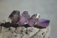 Natural Smokey Window Amethyst Crystals x 0.7 Kg Lot From Chiredzi, Zimbabwe
