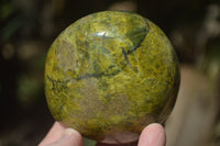 Polished Green Opal Standing Free Forms x 3 From Antsirabe, Madagascar - Toprock Gemstones and Minerals 