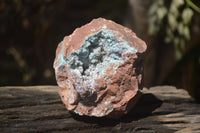 Natural Drusy Coated Malacolla On Dolomite Specimens x 2 From Congo - Toprock Gemstones and Minerals 