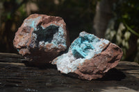 Natural Drusy Coated Malacolla On Dolomite Specimens x 2 From Congo - Toprock Gemstones and Minerals 