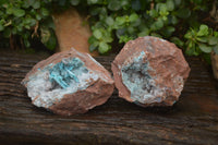 Natural Drusy Coated Malacolla On Dolomite Specimens x 2 From Congo - Toprock Gemstones and Minerals 