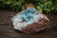 Natural Drusy Coated Malacolla On Dolomite Specimens x 2 From Congo - Toprock Gemstones and Minerals 