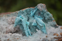 Natural Drusy Coated Malacolla On Dolomite Specimens x 2 From Congo - Toprock Gemstones and Minerals 