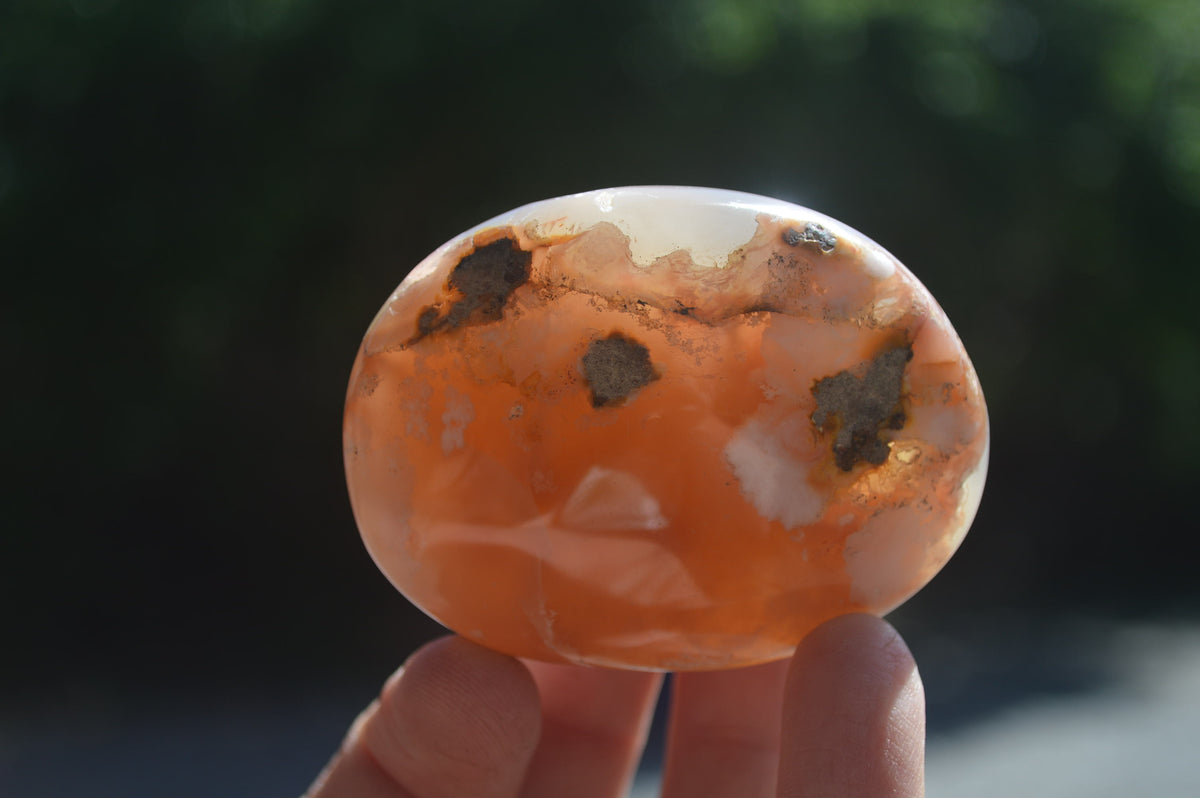 Polished Flower Agate Palm Stones x 12 From Antsahalova, Madagascar - Toprock Gemstones and Minerals 