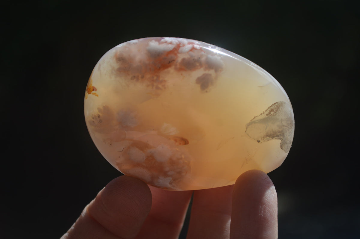 Polished Flower Agate Palm Stones x 12 From Antsahalova, Madagascar - Toprock Gemstones and Minerals 