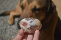 Polished Flower Agate Palm Stones x 12 From Antsahalova, Madagascar - Toprock Gemstones and Minerals 