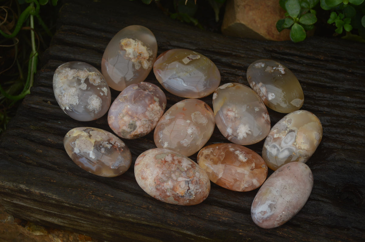 Polished Flower Agate Palm Stones x 12 From Antsahalova, Madagascar - Toprock Gemstones and Minerals 