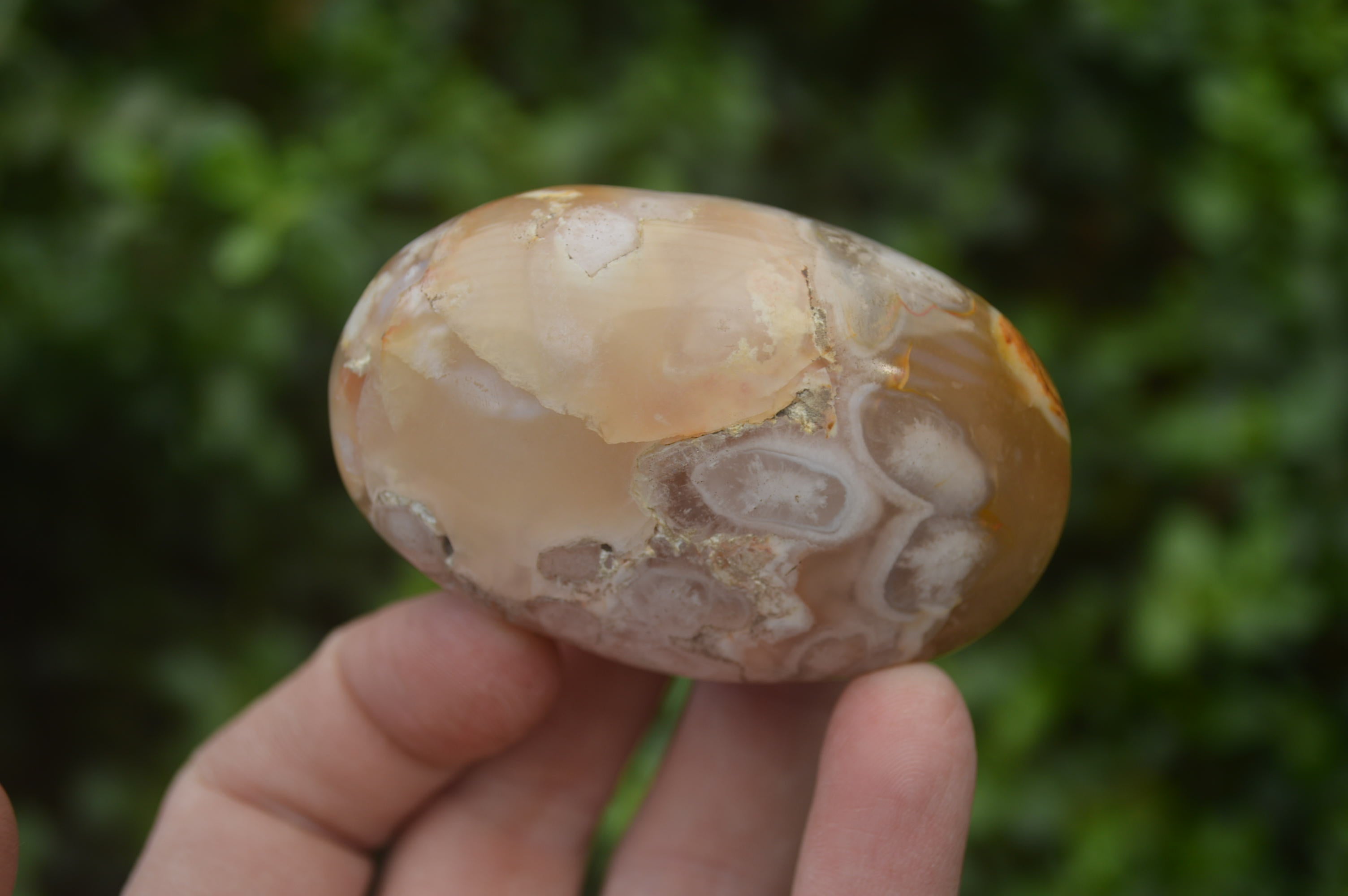 Polished Flower Agate Palm Stones x 12 From Antsahalova, Madagascar - Toprock Gemstones and Minerals 