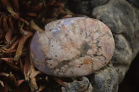 Polished Flower Agate Palm Stones x 12 From Antsahalova, Madagascar - Toprock Gemstones and Minerals 