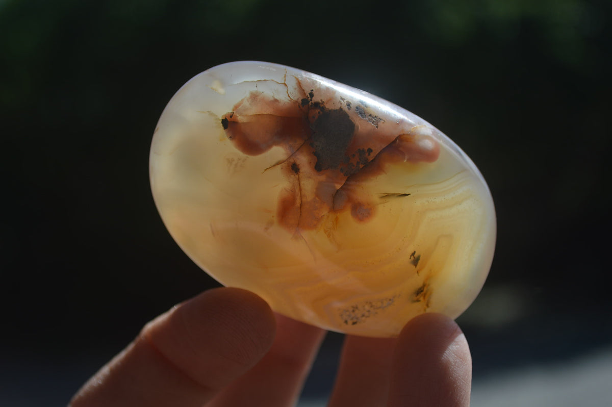 Polished Flower Agate Palm Stones x 12 From Antsahalova, Madagascar - Toprock Gemstones and Minerals 