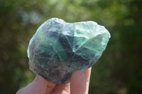 Natural Watermelon Fluorite Cobbed Specimens x 30 From Uis, Namibia