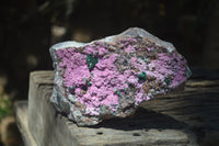 Natural Salrose Cobaltion Dolomite Specimen x 1 From Kakanda, Congo - Toprock Gemstones and Minerals 