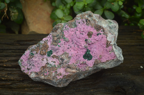 Natural Salrose Cobaltion Dolomite Specimen x 1 From Kakanda, Congo - Toprock Gemstones and Minerals 