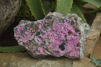 Natural Salrose Cobaltion Dolomite Specimen x 1 From Kakanda, Congo - Toprock Gemstones and Minerals 
