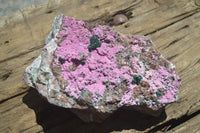 Natural Salrose Cobaltion Dolomite Specimen x 1 From Kakanda, Congo - Toprock Gemstones and Minerals 