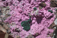 Natural Salrose Cobaltion Dolomite Specimen x 1 From Kakanda, Congo - Toprock Gemstones and Minerals 