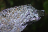 Natural Stichtite Specimens x 2 From Barberton, South Africa - Toprock Gemstones and Minerals 