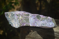 Natural Stichtite Specimens x 2 From Barberton, South Africa - Toprock Gemstones and Minerals 