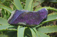 Polished On One Side Metallic Purpurite Specimens x 4 From Namibia - Toprock Gemstones and Minerals 