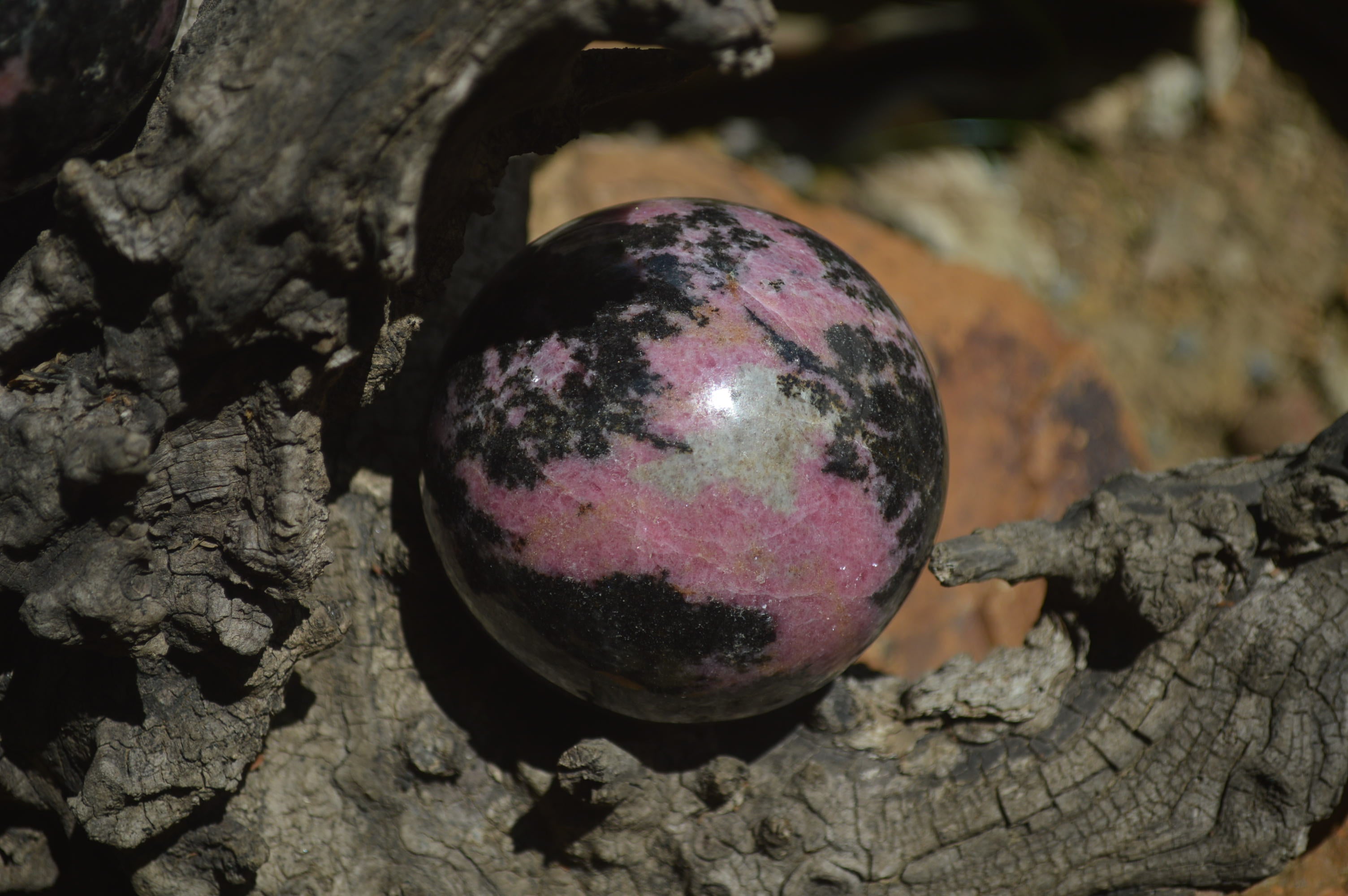 Polished Rhodonite Spheres x 2 From Madagascar - Toprock Gemstones and Minerals 
