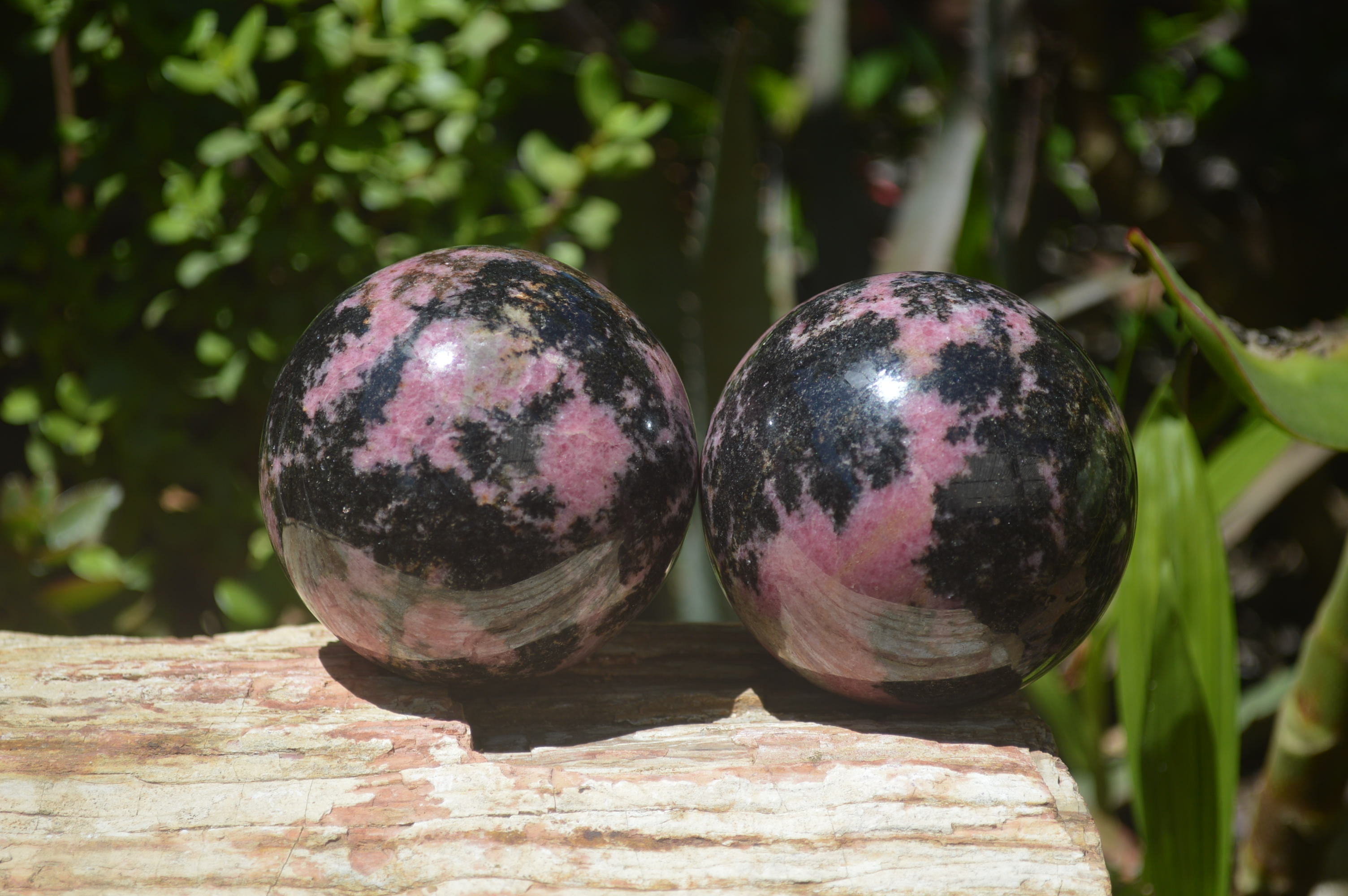 Polished Rhodonite Spheres x 2 From Madagascar - Toprock Gemstones and Minerals 
