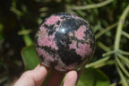 Polished Rhodonite Spheres x 2 From Madagascar - Toprock Gemstones and Minerals 