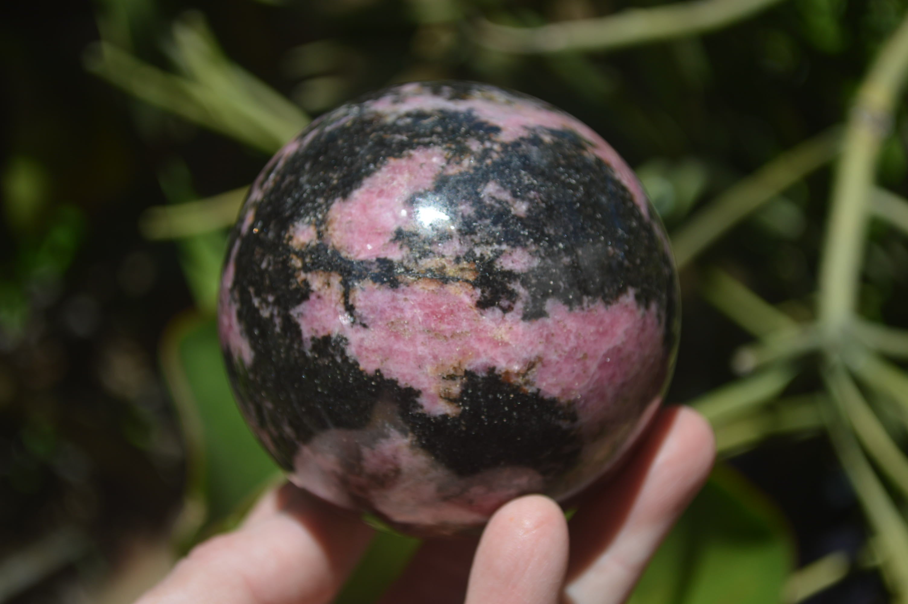 Polished Rhodonite Spheres x 2 From Madagascar - Toprock Gemstones and Minerals 