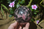 Polished Rhodonite Spheres x 2 From Madagascar - Toprock Gemstones and Minerals 
