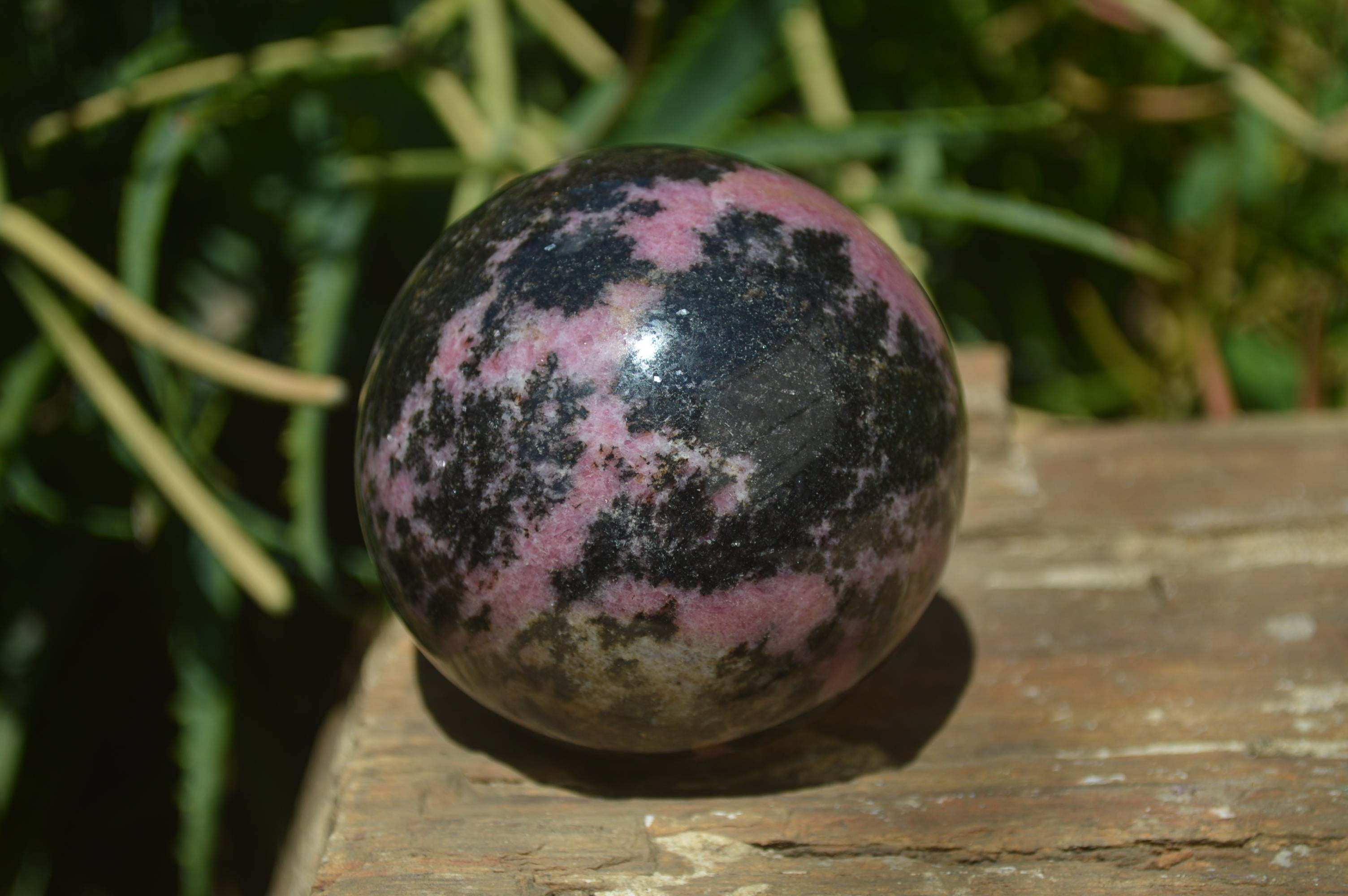 Polished Rhodonite Spheres x 2 From Madagascar - Toprock Gemstones and Minerals 